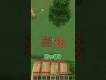本物はどっち? #マイクラ