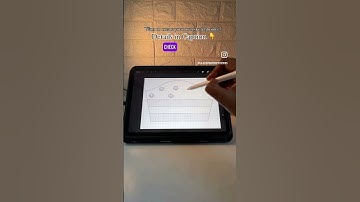 100 Aari embroidery tracing designs in Procreate | Day 10