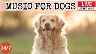 [LIVE] Dog MusicCalming Music for Dogs with AnxietyDog Sleep Music for Dog Relaxation 12