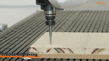 Leapion 5axis CNC Router.