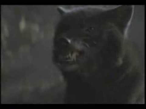 Ranker Video