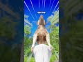The Big Ass Wolf рџђєрџЌ The Big Ass Wolf рџђєрџЌ