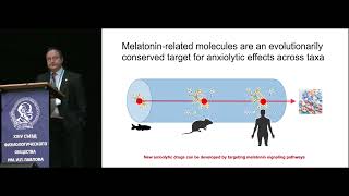 Трансляционная нейробиология Zebrafish: малые молекулы, нейромедиаторы, цитокины и мозговые гены