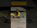 Radhavallabh shree Harivansh #trendingnow #radhavallabhshreeharivansh #ytshorts #ytviral #youtube
