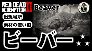 Rdr2 ビーバー Beaver 出現場所と素材の使い道 Youtube