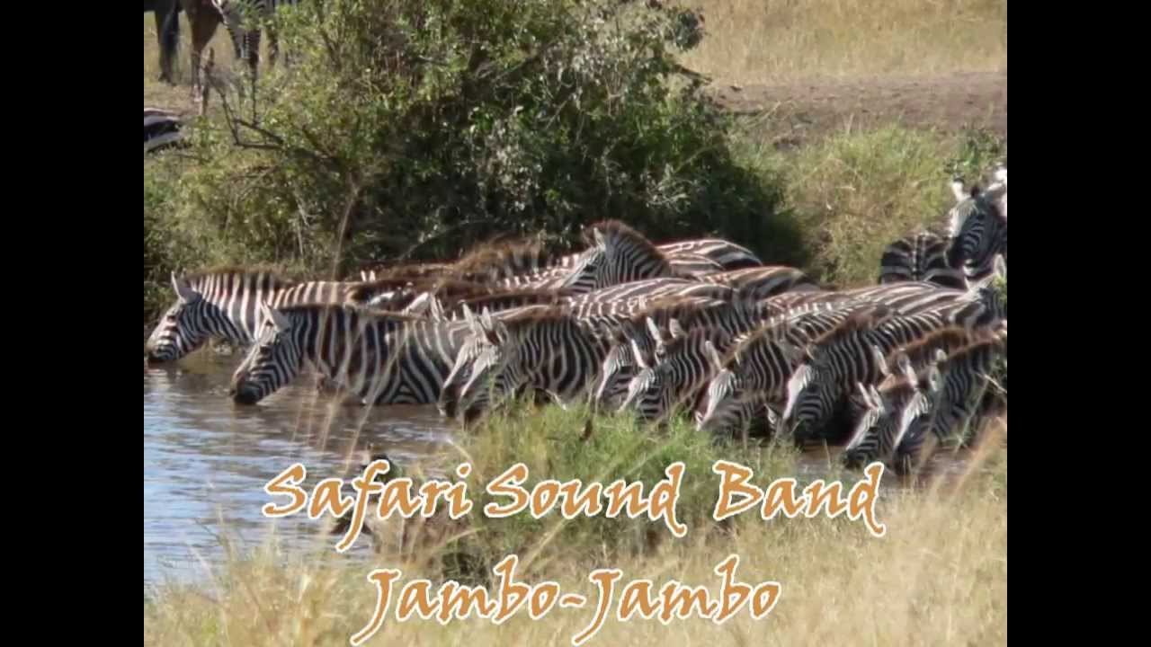 youtube safari sound band