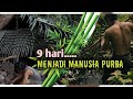 9 hari survival di hutan belantara sendirian, solo camping, membuat rumah di hutan, hidup di hutan.