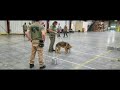 Global k9 protection group