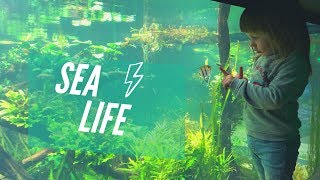 Достопримечательности Лондона. SeaLife