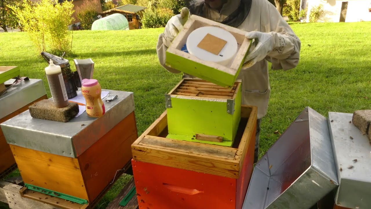 S05E30 | Les rémérages naturels ont échoué, on passe aux plans B...