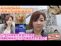▶︎221【沖縄弾丸旅！】ハワイ４８時間に続いて沖縄２４時間！円安でハワイが高かったから今度は沖縄のＤＦＳに１泊２日で行ってきました！