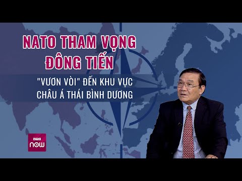 Video: Cuộc sống chiến đấu của tôi