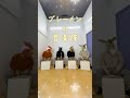 目指せ！ブレーメン！#shorts