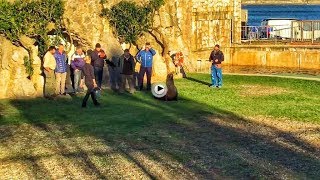 Así reciben a los dos nuevos inquilinos del mini zoo de la Magdalena