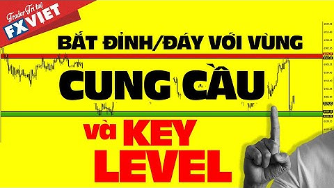 BẮT ĐỈNH/ĐÁY VỚI VÙNG CUNG CẦU VÀ KEY LEVEL  | CẢN ĐẢO CHIỀU DO THỊ TRƯỜNG TẠO | FXVIET