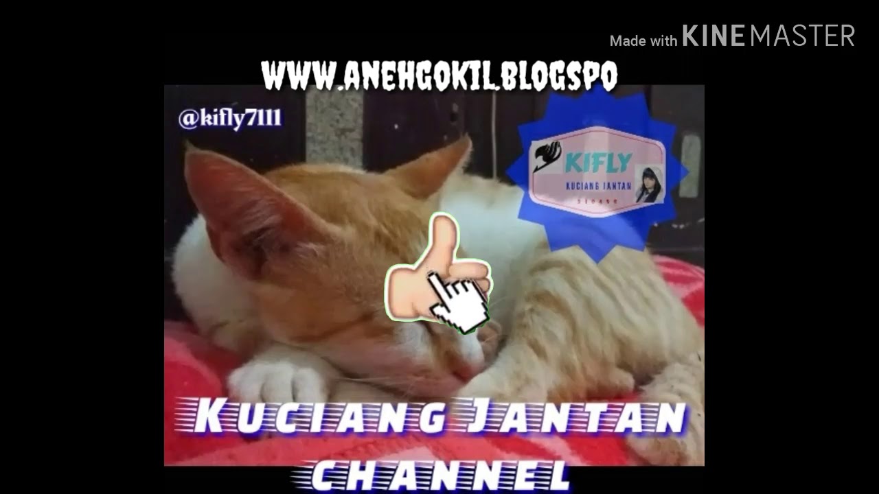 Kata Sindiran Lucu Youtube