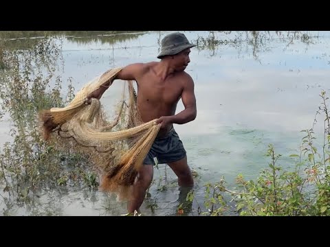Best Net Fishing Video - Fisherman Traditional Catching Fish in The ...