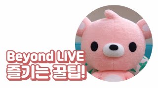 Beyond LIVE 즐기는 꿀팁! SPECIAL tips to enjoy Beyond LIVE! (feat. #NCT127)