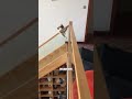 Wenn Katzen Treppen runtergehen 😂 #shorts