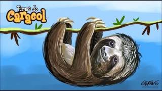 Vídeo de A Preguiça