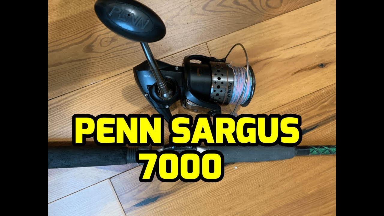 PENN Sargus II 2500 Spinning Reel. - Al Marfaa Marine Equipments