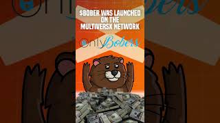 Bober Multiversxs First Memecoin