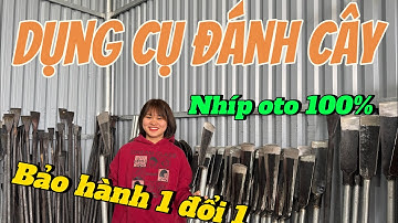 DỤNG CỤ ĐÁNH CÂY GIÁ TẠI LÒ RÈN, CHUẨN NHÍP OTO 100% .