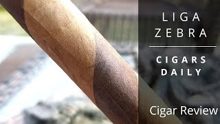 Cigars Daily Liga Zebra Cigar Review