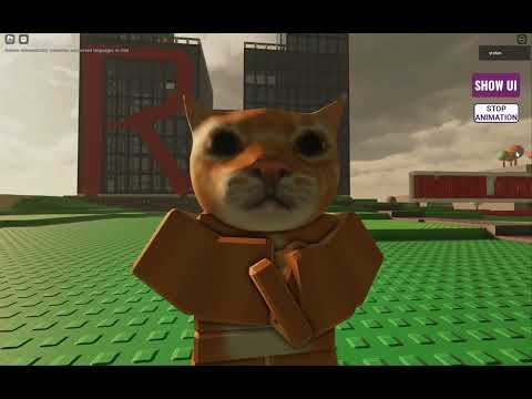 This Is Elon Musk U M A