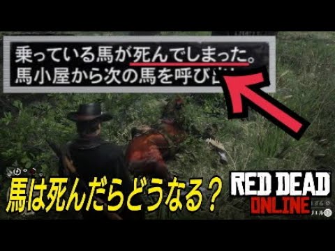 馬は死んだらどうなるか検証 レッドデッドオンライン Red Dead Redemption2 Youtube