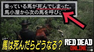 馬は死んだらどうなるか検証！ レッドデッドオンライン Red Dead Redemption2