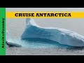 Cruise Antarctica Icebergs Glaciers Penguins Scenery Azamara Cruise Line