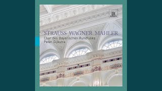 5 Gedichte fur eine Frauenstimme, "Wesendonck Lieder" (arr. C. Gottwald) : No. 5. Traume