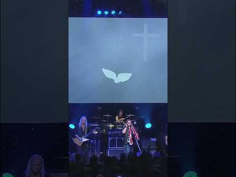 Free bird –