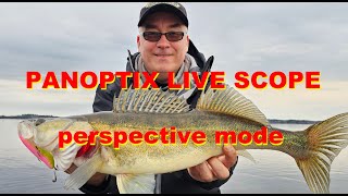 Panoptix Live Scope. Perspective mode.
