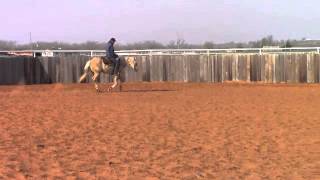 Xtra Blonde Voodoo - SOLD