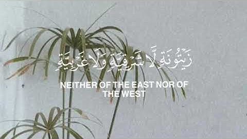 الله نور السماوات والأرض | القارئ الشيخ محمد النقيب