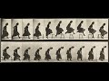 Animal locomotion plates 151160 18841887 by eadweard muybridge