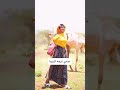 عندي ترمه كبيرة المغرب السعودية الجزائر مصر تونس رقص قصص تيك توك ترند ضحك قطر العراق لايك 