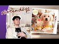 Reminiscing on Nintendogs + Cats