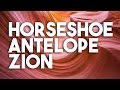 Horsehoe antelope and zion  2016
