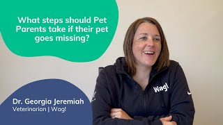 Steps to Take When Your Pet Goes Missing | Lost Pet Prevention with Dr. Georgia