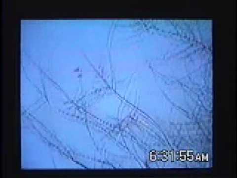real UFO 不明飞行物