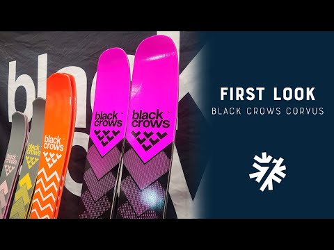 2024-2025 Black Crows Corvus Quick Review | Powder7