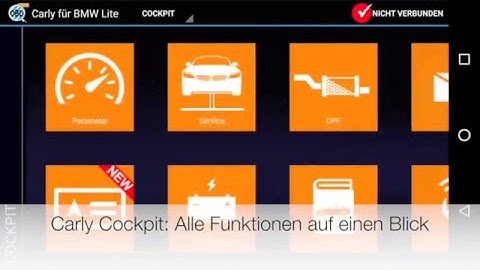 Carly Support: Abstürze loggen - Persönlichen Support bekommen