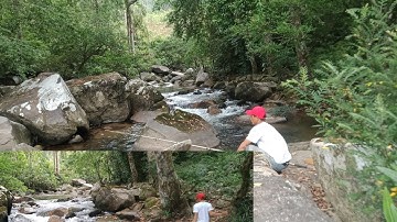 Câu cá giải trí, một mình đi rừng câu cá suối, bóc được phong lan rừng rất đẹp, cảnh đẹp núi rừng..