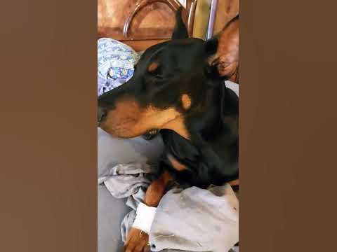 сильный порез.ходить больно - YouTube