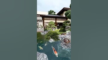 Hồ cá coi cực phê. #shorts