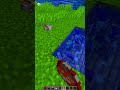 Minecraft Dancing Fish Montagem Bandido Minecraft Shorts