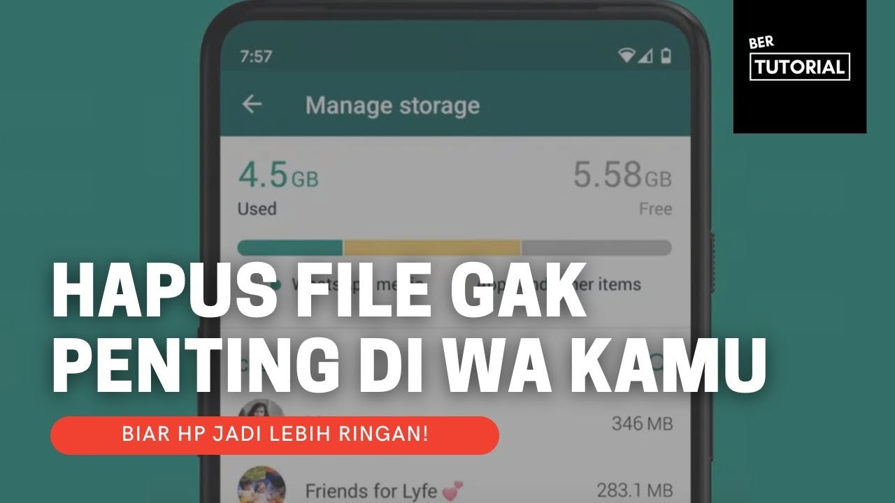 Mengelola penyimpanan WhatsApp untuk mengosongkan memori HP